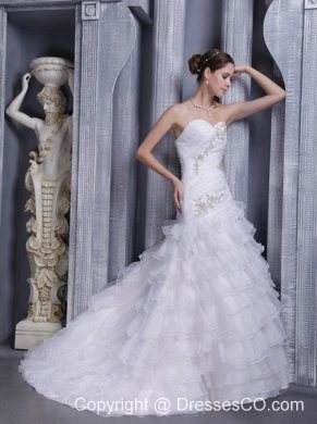 White A-line / Princess Court Train Organza Appliques Wedding Dress