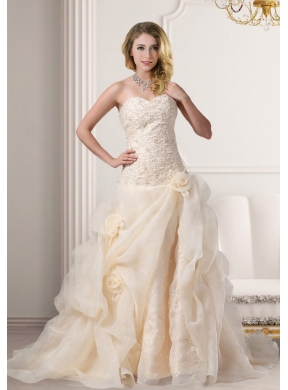 A Line Embroidery Brush Train Wedding Dress in Champagne
