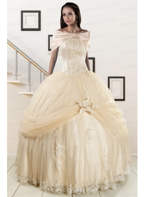 Classic Appliques Champagne Quinceanera Dress with Wraps