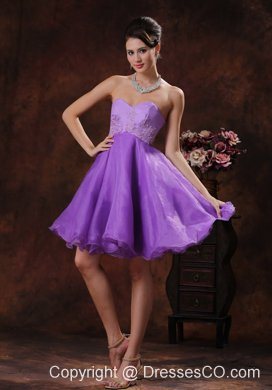 Lavender Short Prom Dress With Appliques Decorate Organza