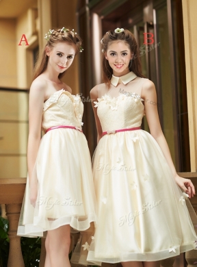 Champagne Organza Bridesmaid Dress with Appliques and Sashes