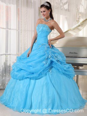 Baby Blue Ball Gown Strapless Long Organza Appliques Quinceanera Dress