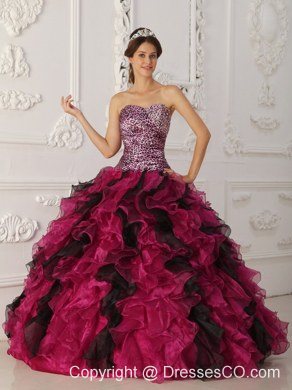Multi-color Ball Gown Long Leopard And Organza Ruffles Quinceanera Dress