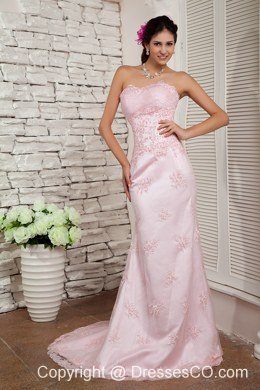 Elegant Baby Pink Prom Dress Column Beading Brush Train Lace