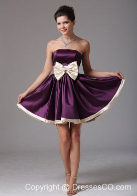 Beautiful Dark Purple Strapless Prom Dress With Sash Mini-length