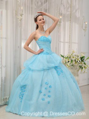 Light Blue Ball Gown Long Organza Appliques Quinceanera Dress