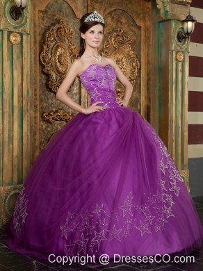 Purple Ball Gown Long Appliques Tulle Quinceanera Dress