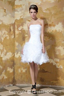 Beautiful A-line Strapless Mini-length Tulle Ruched Wedding Dress