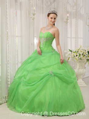 Spring Green Ball Gown Long Organza Appliques Quinceanera Dress