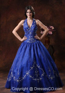 A-line Halter Prom Dress With Embroidery Decorate Organza In 2013