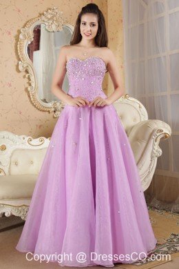 Lavender A-line Prom / Evening Dress Organza Beading Long