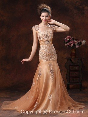 Brown Embroidery Square Prom Dress With Organza