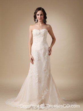 Wonderful Column Court Train Taffeta and Lace Wedding Dress