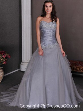 Grey A-line Court Train Taffeta and Tulle Appliques Prom Dress