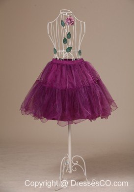 Hot Fuchsia Mini-length Petticoat