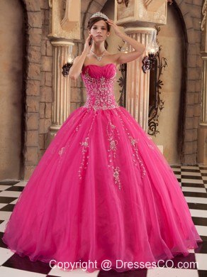 Hot Pink Ball Gown Long Organza Beading Quinceanera Dress