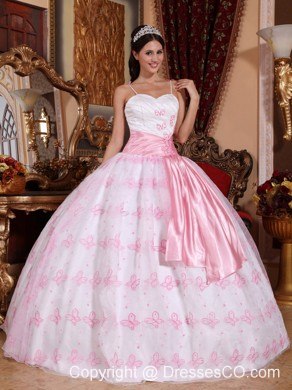 Light Pink Ball Gown Spaghetti Straps Long Organza Embroidery Quinceanera Dress
