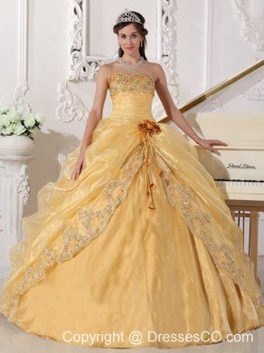 Gold Ball Gown Long Organza Embroidery With Beading Quinceanera Dress