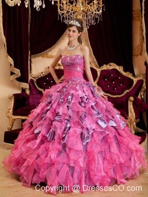 Hot Pink Ball Gown Long Beading Leopard And Organza Quinceanera Dress