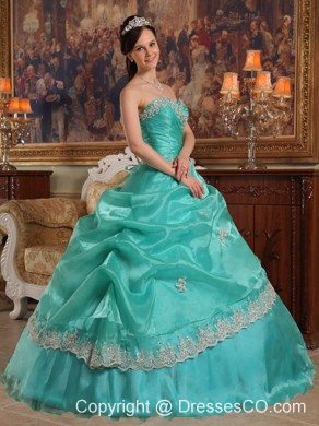 Turquoise Ball Gown Long Appliques Organza Quinceanera Dress