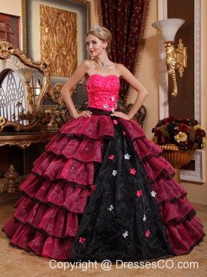 Multi-color Ball Gown Strapless Long Organza Appliques Quinceanera Dress