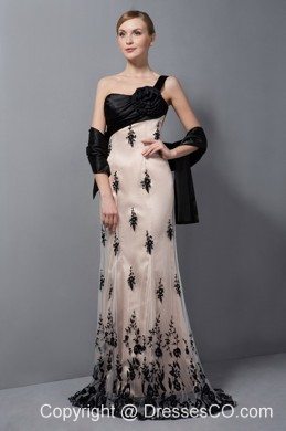 Beautiful Champagne Column Mother Of The Bride Dress One Shoulder Hand Made Flower Brush Train Tulle Lace