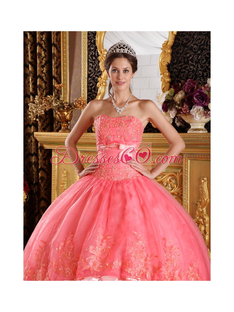 Watermelon Red Ball Gown Strapless Appliques Organza Quinceanera Dress