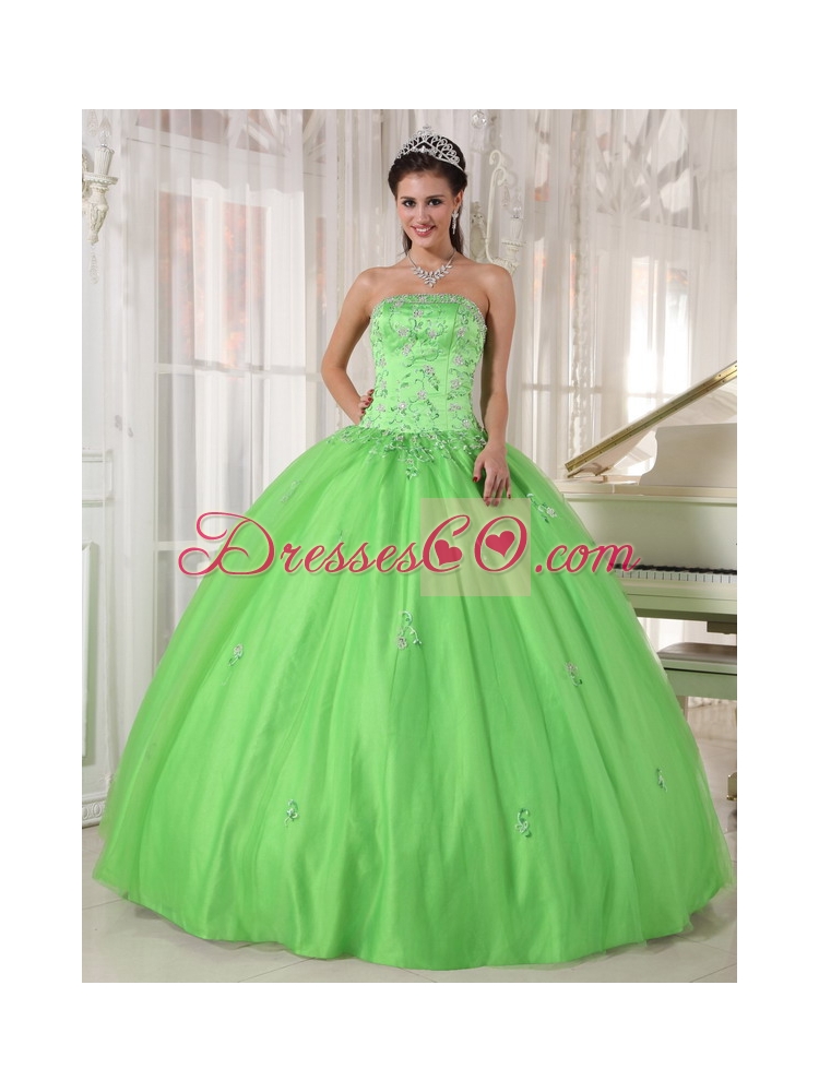 Spring Green Ball Gown Strapless Long Taffeta And Tulle Appliques Quinceanera Dress