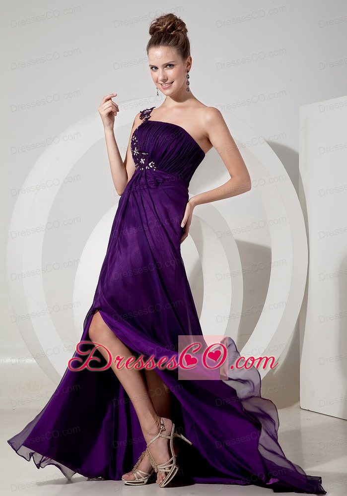 Exquisite Evening Dress Eggplant Purple Empire One Shoulder Chiffon Appliques Brush Train