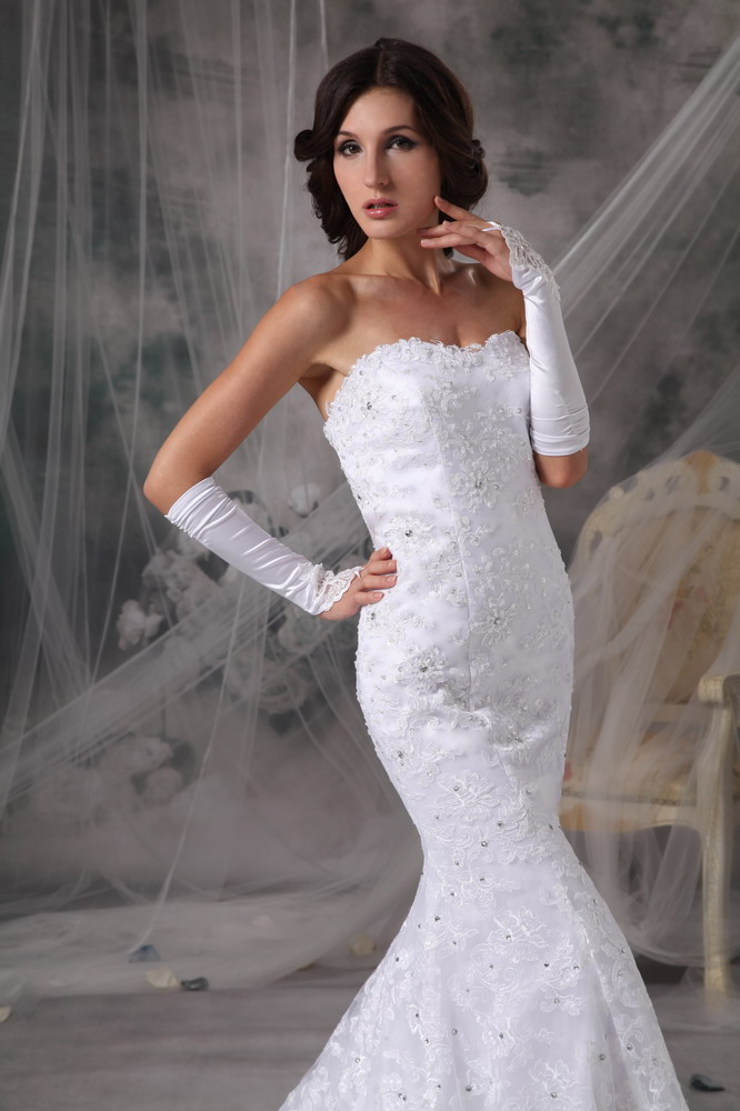 Perfect Trumpet / Mermaid Court Train Lace Beading Wedding Dress