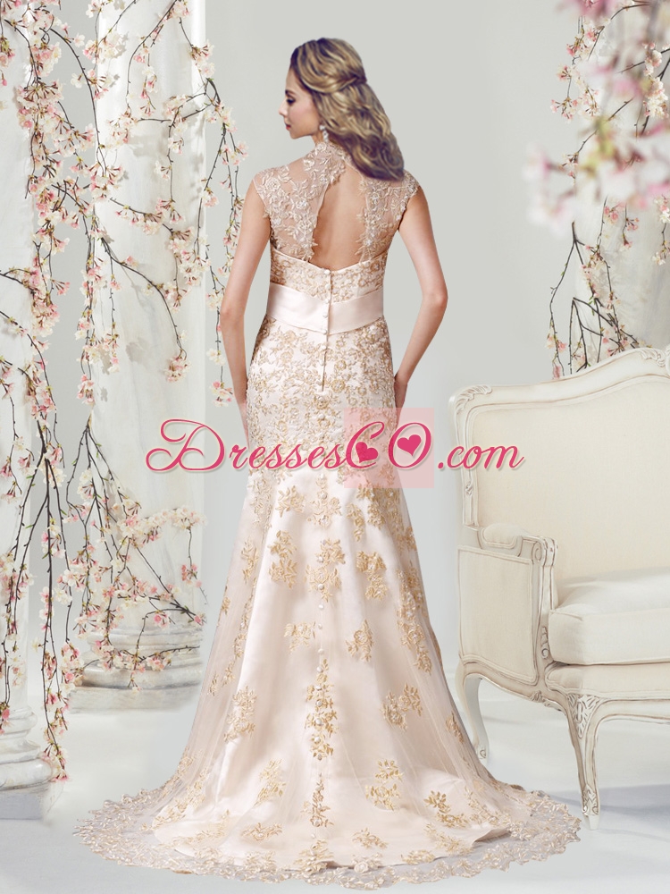 Gorgeous Champagne Mermaid V Neck Embroidery  Wedding Dresses