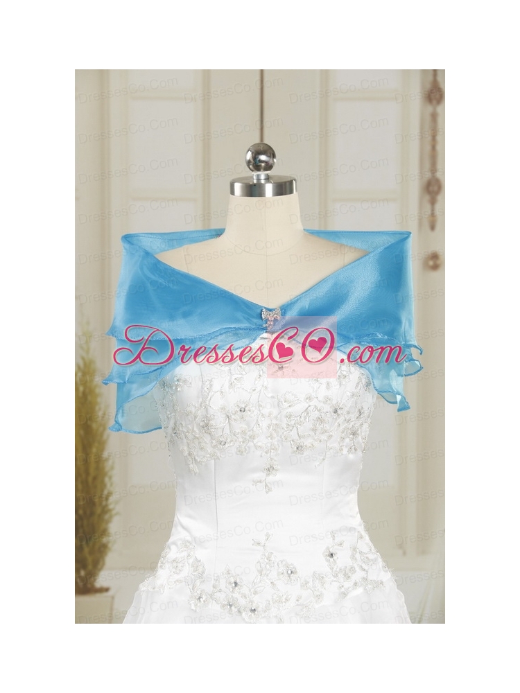 Elegant Baby Blue Quinceanera Dress  with Appliques