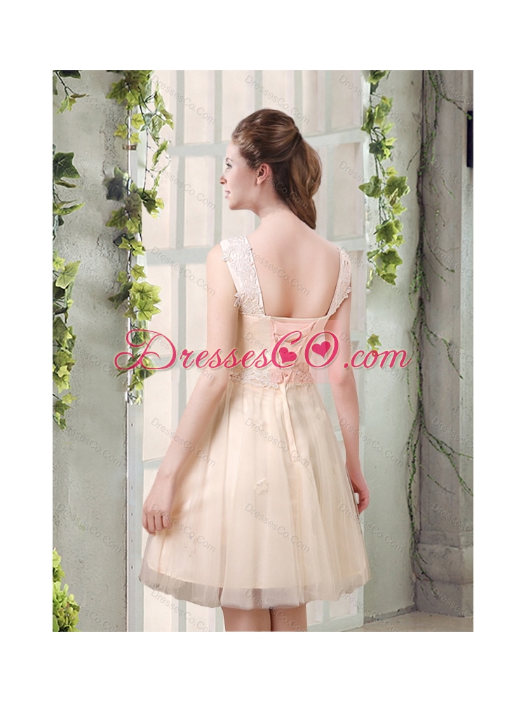 Summer Straps A Line Champagne Beautiful Dama Dress with Appliques