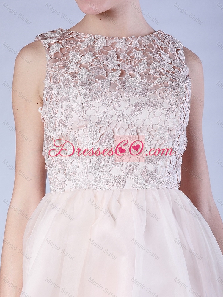 Luxurious Lace Scoop Short Baby Pink Prom Dress