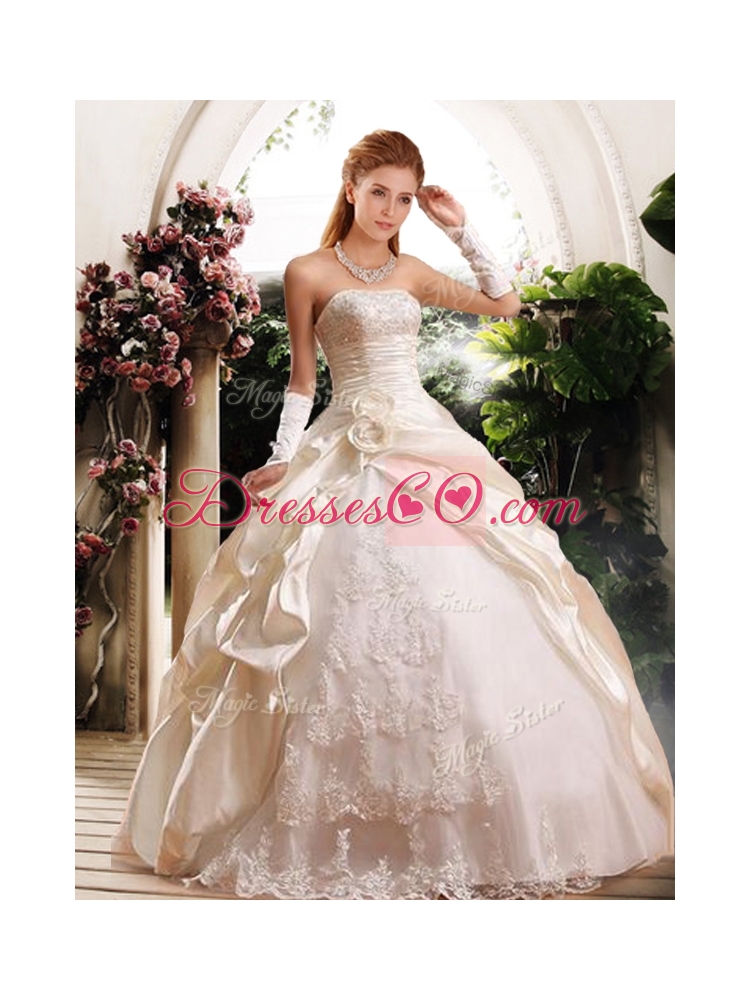 Fashionable Ball Gown Strapless Wedding Dress with Appliques