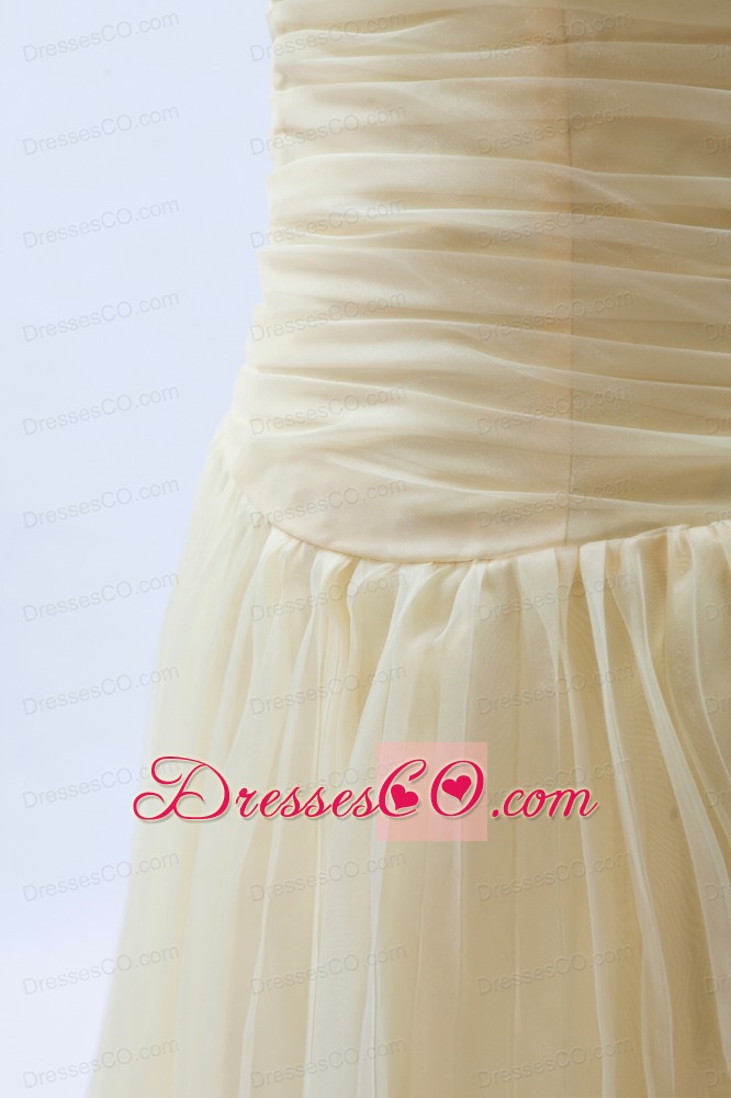 Champagne A-line / Princess Halter Ruched Prom Dress Organza Knee-length