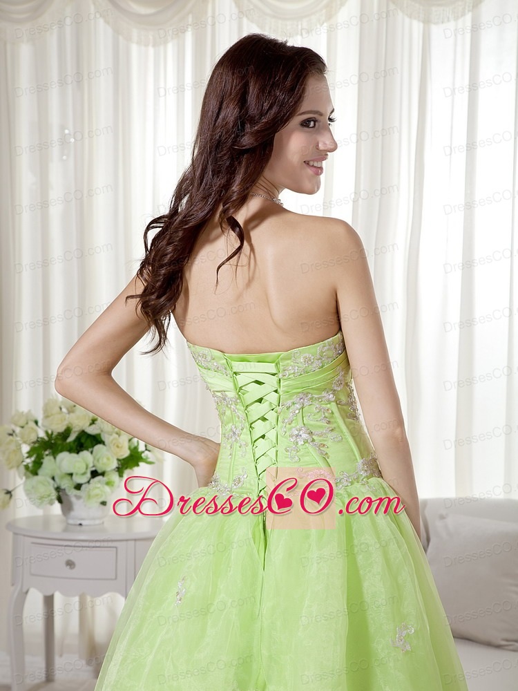 Yellow Green A-line Long Organza Beading Prom Dress