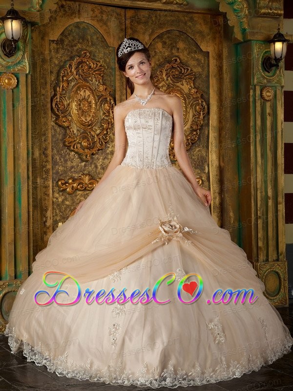 Champagne Ball Gown Strapless Long Appliques Tulle Quinceanera Dress