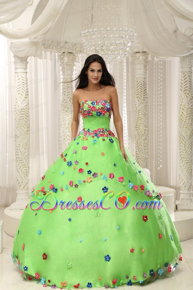 Spring Green Ball Gown Quninceaera Gown For Custom Made Appliques Decorate Bodice