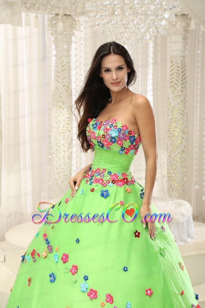 Spring Green Ball Gown Quninceaera Gown For Custom Made Appliques Decorate Bodice