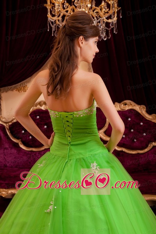 Spring Green A-line / Princess Strapless Long Appliques Tulle Quinceanera Dress