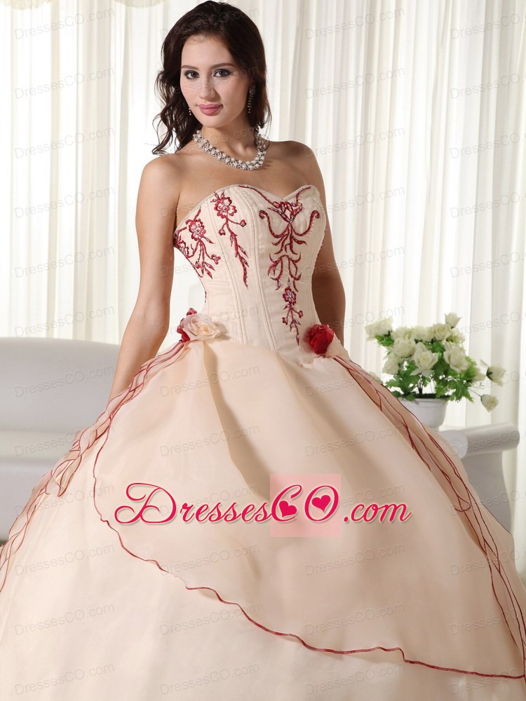 Champagne Ball Gown Long Organza Embroidery Quinceanera Dress