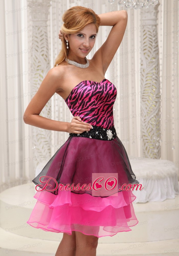 Hot Pink And Black Prom / Cocktail Dress For Zebra And Organza Beaded Decorate Waist Mini-length