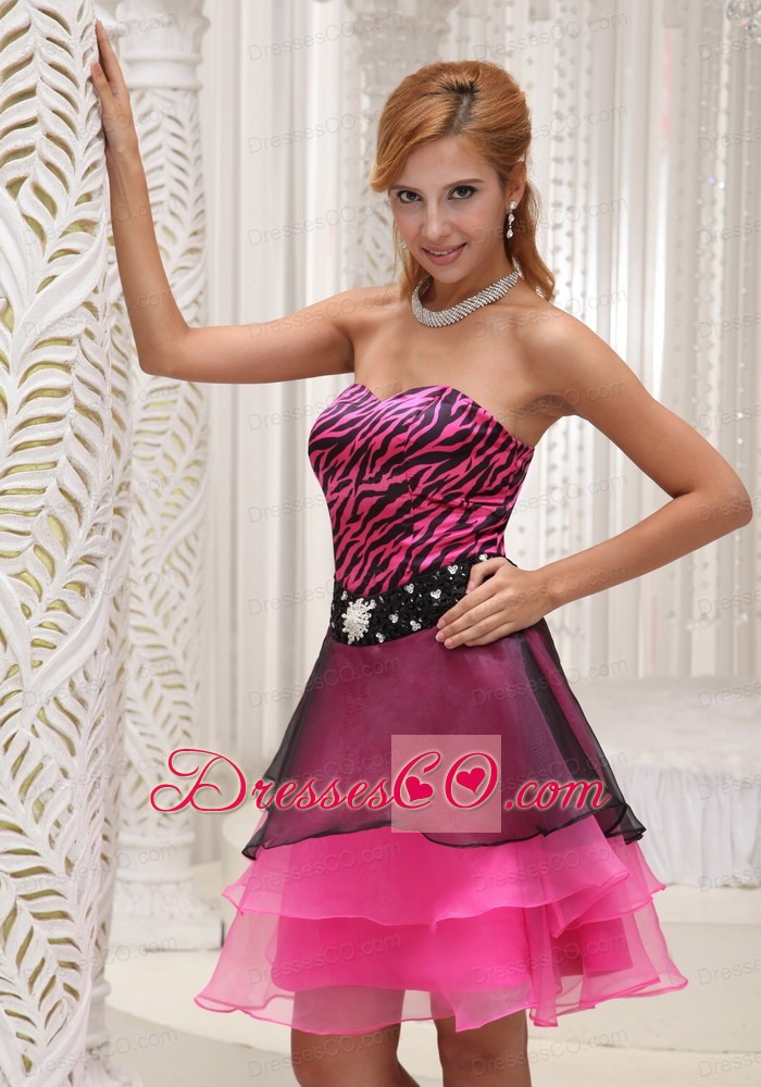 Hot Pink And Black Prom / Cocktail Dress For Zebra And Organza Beaded Decorate Waist Mini-length