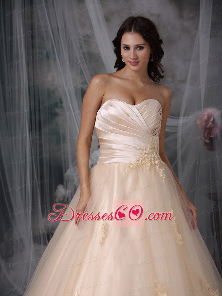 Beautiful A-line / Princess Brush Train Tulle Embroidery Wedding Dress