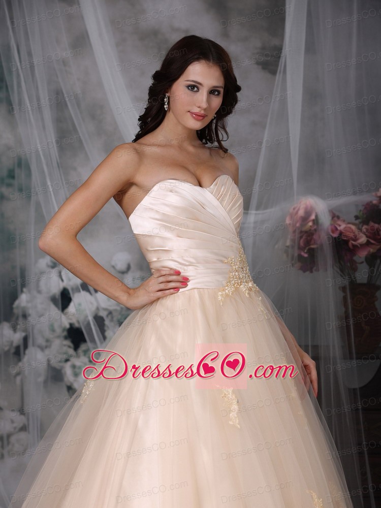 Beautiful A-line / Princess Brush Train Tulle Embroidery Wedding Dress