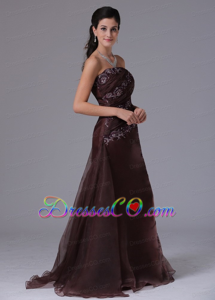 Wholesale Brown Column Appliques Decorate Prom Celebity Dress With Strapless