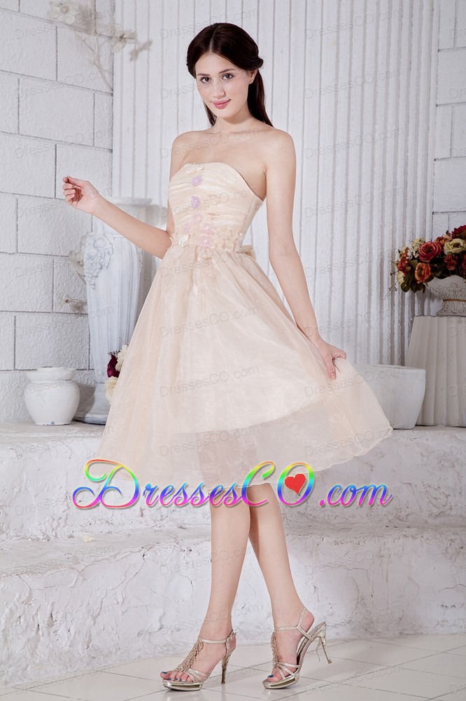 Champagne A-line / Princess Strapless Short Prom / Homecoming Dress Organza Appliques Knee-length