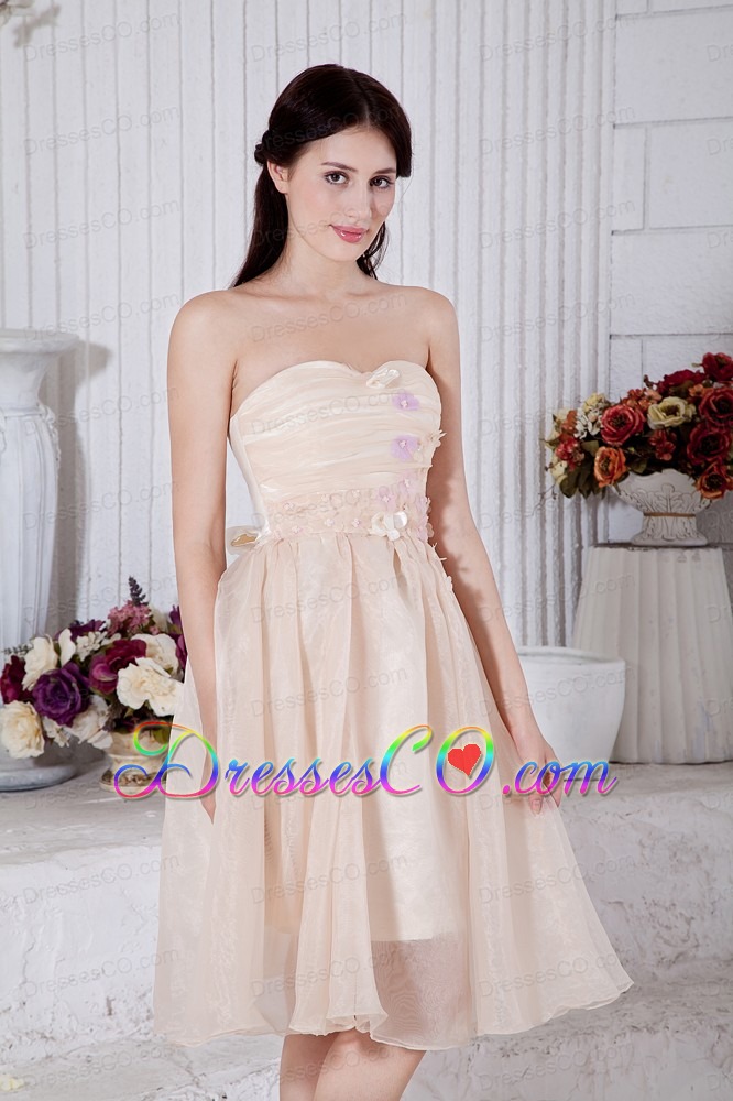 Champagne A-line / Princess Strapless Short Prom / Homecoming Dress Organza Appliques Knee-length