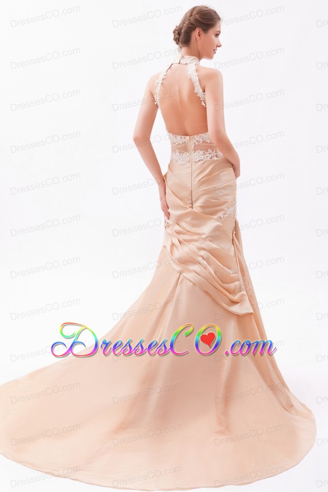 Champagne High-neck Court Train Taffeta Embroidery with Beading Prom Dress